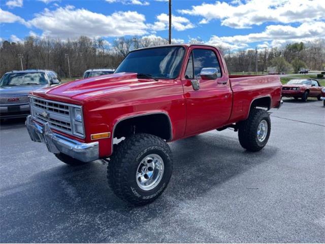 1985 Chevrolet K-10 (CC-1729943) for sale in Cadillac, Michigan