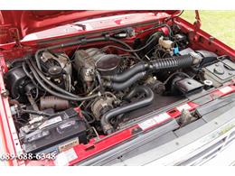 1995 Ford F150 (CC-1732022) for sale in Eustis, Florida
