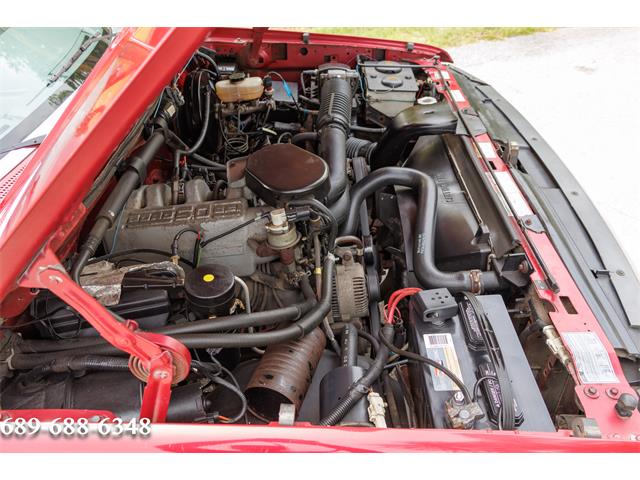 1995 Ford F150 (CC-1732022) for sale in Eustis, Florida