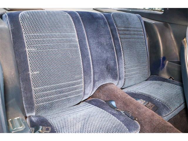 1981 Pontiac Firebird (CC-1732083) for sale in Kentwood, Michigan