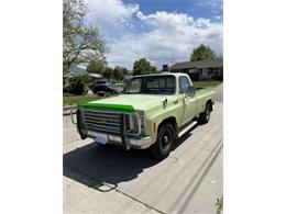 1976 Chevrolet C20 (CC-1732515) for sale in Cadillac, Michigan