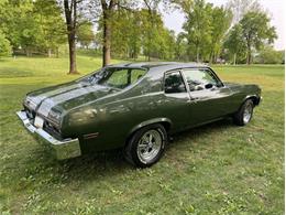 1973 Chevrolet Nova (CC-1732570) for sale in Savannah, Georgia