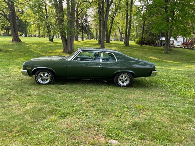 1973 Chevrolet Nova (CC-1732570) for sale in Savannah, Georgia