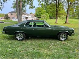 1973 Chevrolet Nova (CC-1732570) for sale in Savannah, Georgia