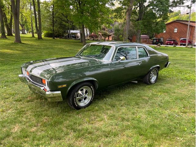 1973 Chevrolet Nova (CC-1732570) for sale in Savannah, Georgia