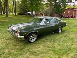 1973 Chevrolet Nova (CC-1732570) for sale in Savannah, Georgia