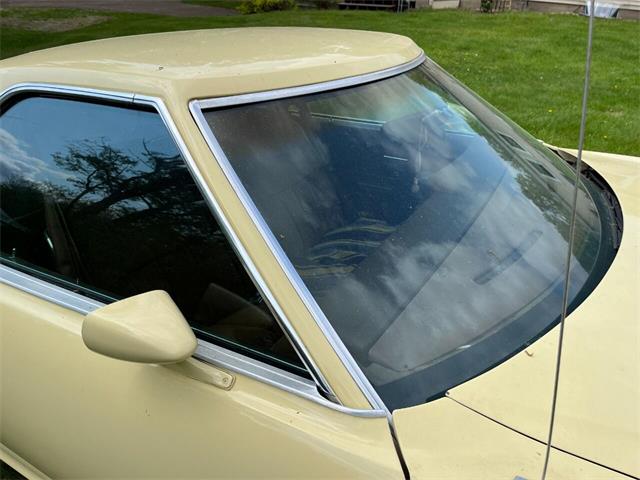 1977 Ford Ranchero (CC-1732751) for sale in Stanley, Wisconsin