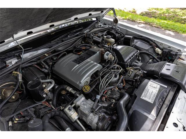 1989 Ford Crown Victoria (CC-1732764) for sale in Orlando, Florida