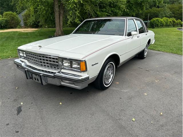 1984 Chevrolet Caprice (CC-1732904) for sale in Youngville, North Carolina
