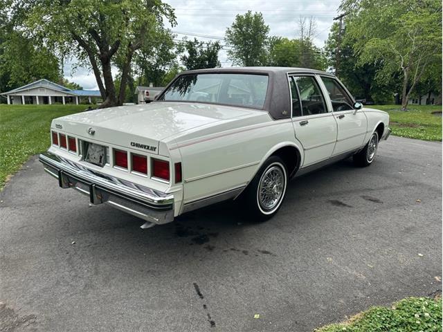 1984 Chevrolet Caprice (CC-1732904) for sale in Youngville, North Carolina