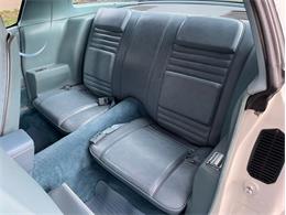 1979 Pontiac Firebird Formula (CC-1732948) for sale in Orlando, Florida