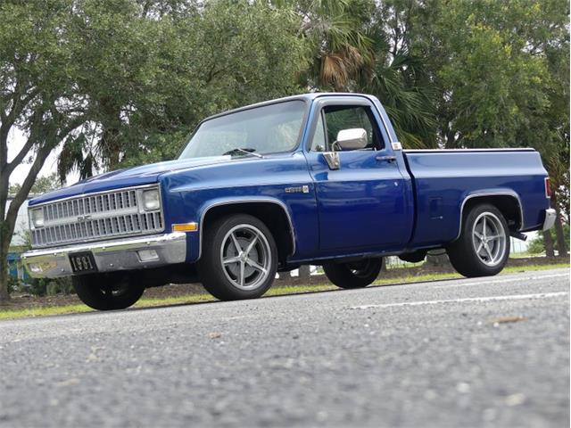 1981 GMC 1500 (CC-1733158) for sale in Palmetto, Florida