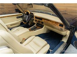 1996 Jaguar XJS (CC-1733244) for sale in Waalwijk, Noord-Brabant