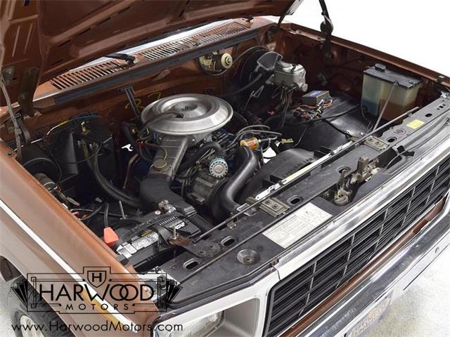1981 Ford F150 (CC-1733574) for sale in Macedonia, Ohio