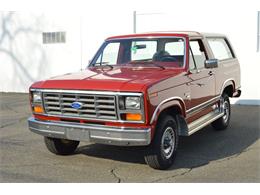 1986 Ford Bronco (CC-1733649) for sale in Savannah, Georgia