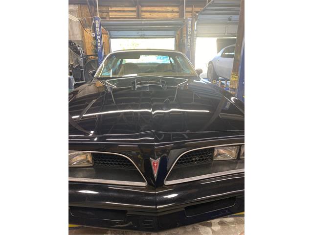 1977 Pontiac Firebird Trans Am (CC-1734196) for sale in Manchester, New Jersey