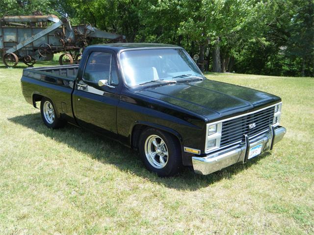 1981 Chevrolet C/K 10 (CC-1734241) for sale in Watertown, Minnesota