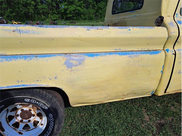 1964 Chevrolet C10 (CC-1734272) for sale in Thief River Falls, Minnesota