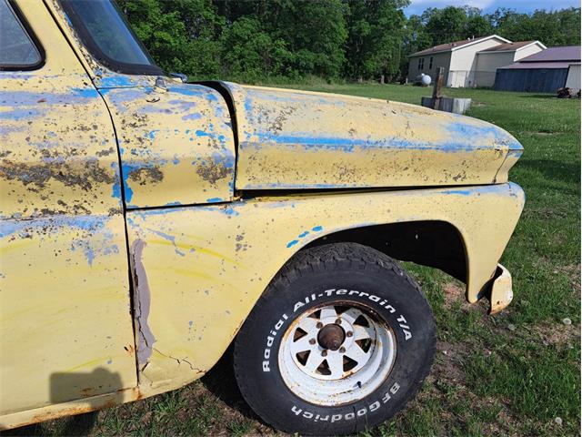 1964 Chevrolet C10 (CC-1734272) for sale in Thief River Falls, Minnesota