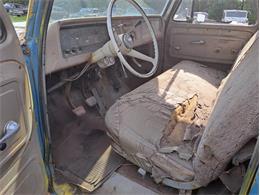 1964 Chevrolet C10 (CC-1734272) for sale in Thief River Falls, Minnesota