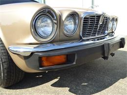 1978 Jaguar XJ12 (CC-1734275) for sale in TURNER, Oregon