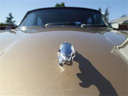 1978 Jaguar XJ12 (CC-1734275) for sale in TURNER, Oregon