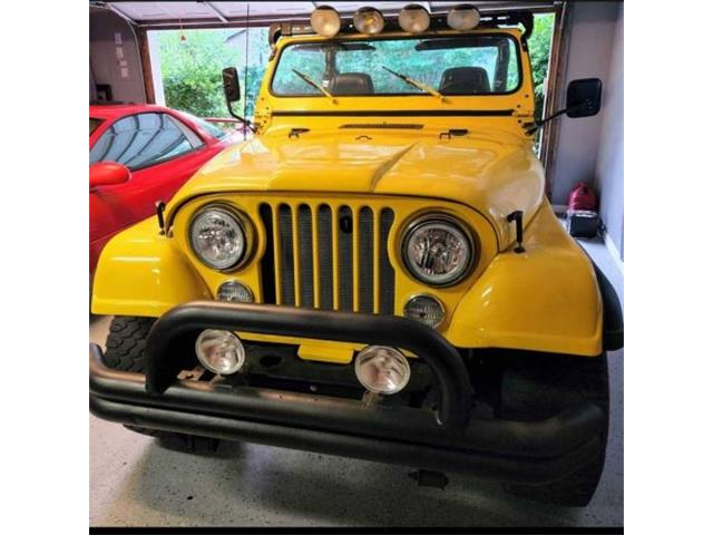 1979 Jeep CJ7 (CC-1734714) for sale in Cadillac, Michigan