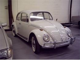 1966 Volkswagen Beetle (CC-1734735) for sale in Cadillac, Michigan