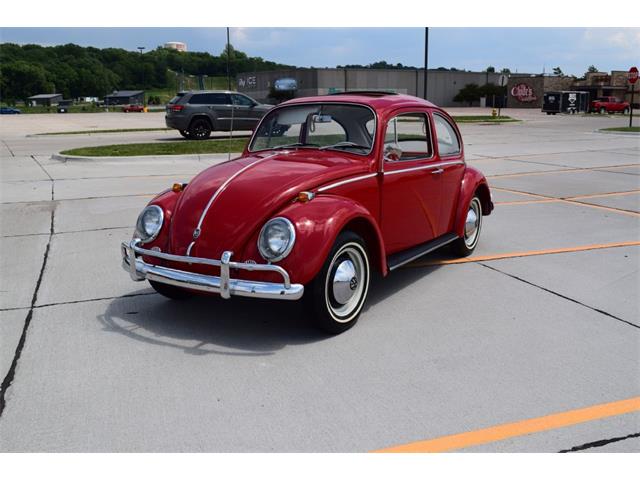 1965 Volkswagen Beetle (CC-1734838) for sale in Sioux City, Iowa