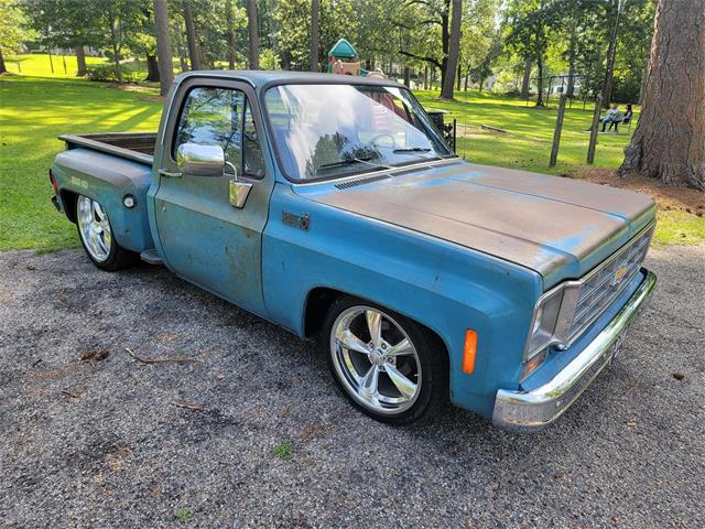 1978 Chevrolet C10 (CC-1734871) for sale in CONROE, Texas