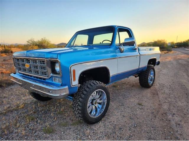 1977 Chevrolet Pickup (CC-1735592) for sale in Cadillac, Michigan