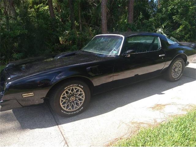 1976 Pontiac Firebird (CC-1735618) for sale in Cadillac, Michigan