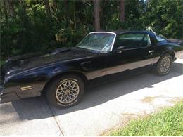 1976 Pontiac Firebird (CC-1735618) for sale in Cadillac, Michigan