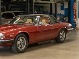 1985 Jaguar XJSC (CC-1735808) for sale in Torrance, California