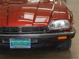 1985 Jaguar XJSC (CC-1735808) for sale in Torrance, California