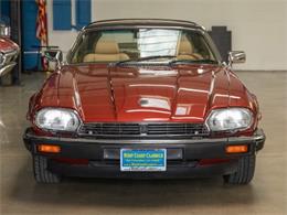 1985 Jaguar XJSC (CC-1735808) for sale in Torrance, California