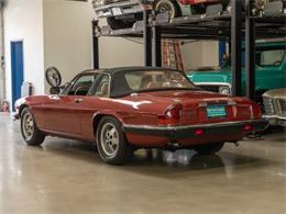 1985 Jaguar XJSC (CC-1735808) for sale in Torrance, California