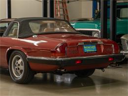 1985 Jaguar XJSC (CC-1735808) for sale in Torrance, California