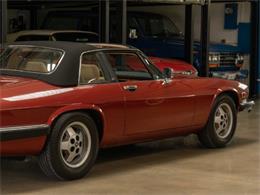 1985 Jaguar XJSC (CC-1735808) for sale in Torrance, California