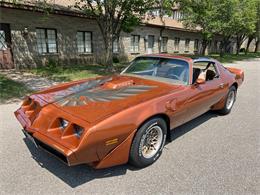 1980 Pontiac Firebird Trans Am (CC-1735989) for sale in AUBURN HILLS, Michigan
