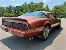 1980 Pontiac Firebird Trans Am (CC-1735989) for sale in AUBURN HILLS, Michigan