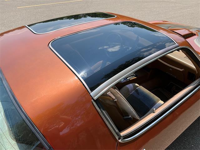 1980 Pontiac Firebird Trans Am (CC-1735989) for sale in AUBURN HILLS, Michigan
