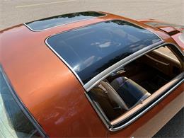 1980 Pontiac Firebird Trans Am (CC-1735989) for sale in AUBURN HILLS, Michigan