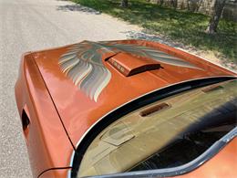 1980 Pontiac Firebird Trans Am (CC-1735989) for sale in AUBURN HILLS, Michigan