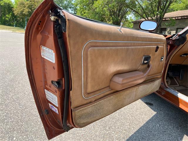 1980 Pontiac Firebird Trans Am (CC-1735989) for sale in AUBURN HILLS, Michigan