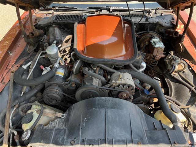 1980 Pontiac Firebird Trans Am (CC-1735989) for sale in AUBURN HILLS, Michigan
