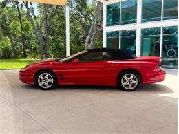 2002 Pontiac Firebird Trans Am (CC-1736064) for sale in Palmetto, Florida
