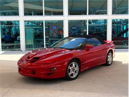 2002 Pontiac Firebird Trans Am (CC-1736064) for sale in Palmetto, Florida