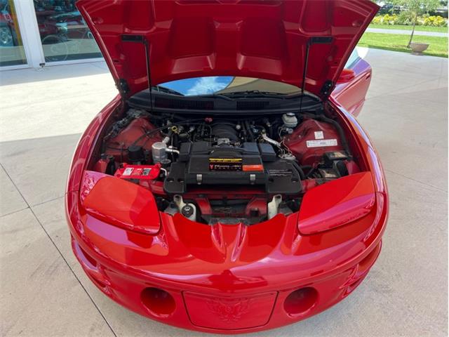2002 Pontiac Firebird Trans Am (CC-1736064) for sale in Palmetto, Florida