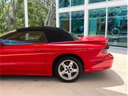 2002 Pontiac Firebird Trans Am (CC-1736064) for sale in Palmetto, Florida